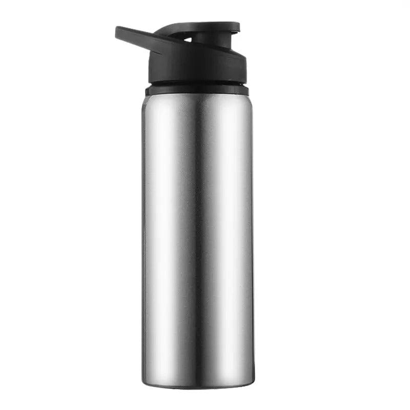 My Store Insulated Bottle